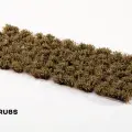 Photo of Swamp Shrubs (GGFS-SWA)