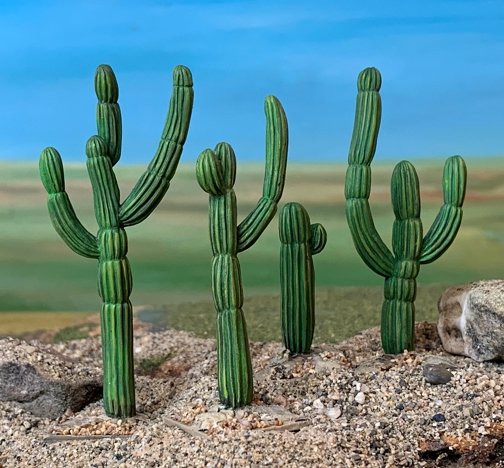 Saguero Cacti