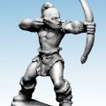 Photo of Celt Archer (FW3005C)