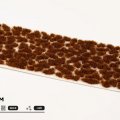 Photo of Brown 2mm Tufts (Gamer's Grass Gen II) (GG2-B)