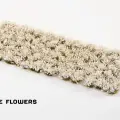 Photo of White Rose Flowers (GGFS-WR)