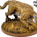 Photo of Mountain Lion (DMH660)