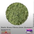 Photo of Static Grass Summer 2mm (KCS-94002)
