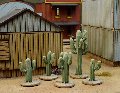 Photo of Dead Man's Hand Cacti (DMH-CAC)