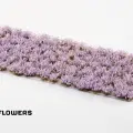Photo of Lavender Flowers (GGFS-LAV)
