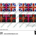 Photo of British Swiss Legion Infantry Flags (BRC026)