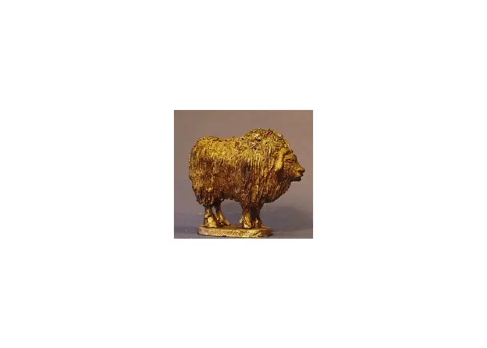 Musk Ox