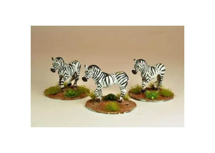 Zebra