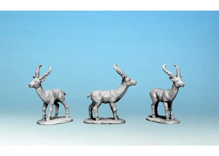 Antelope (x5)