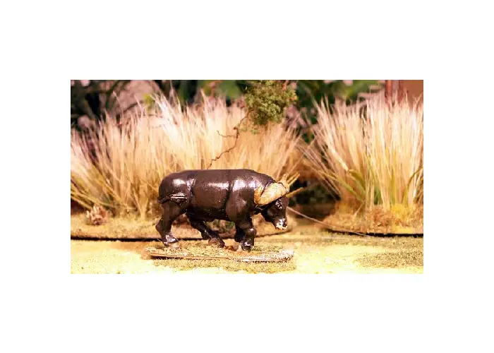 Cape Buffalo