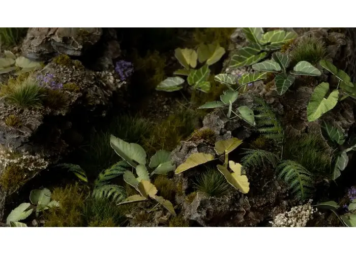 Laser Plants - Elephant Ear