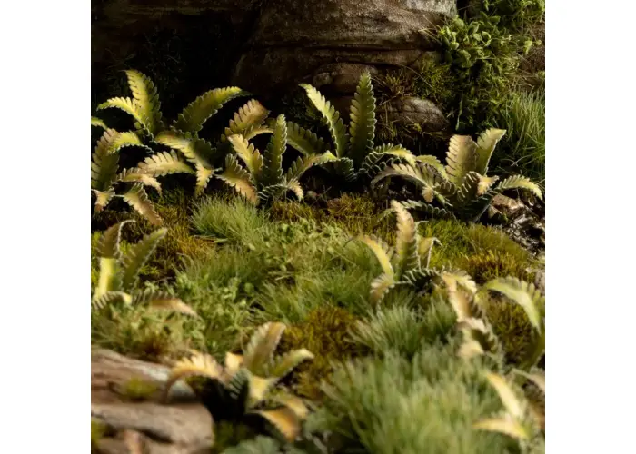Laser Plants - Deer Fern