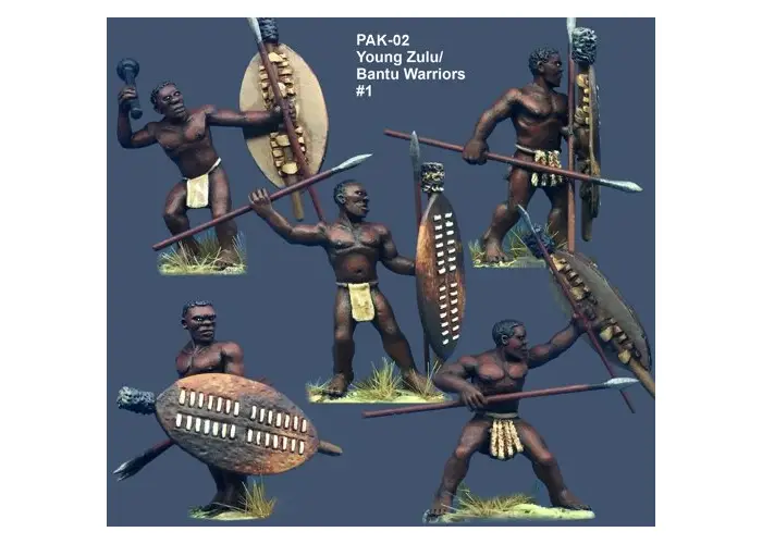 Young Zulu/Bantu Warriors #1