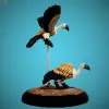 Photo of Vultures (EMP-AA111)