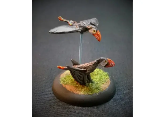 Dimorphodons