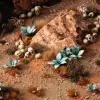 Photo of Laser Plants - Blue Agave (GGLP-BA)