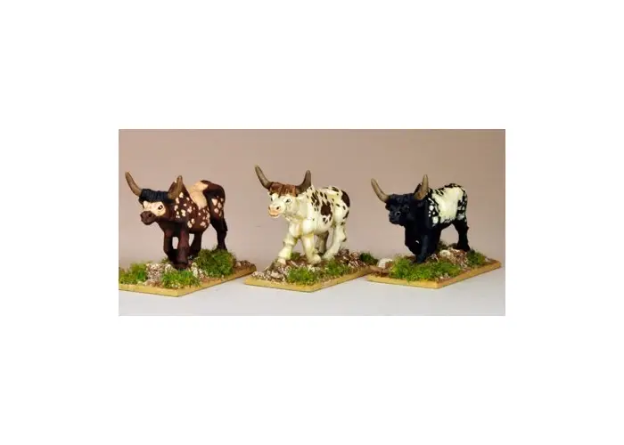 African Cattle