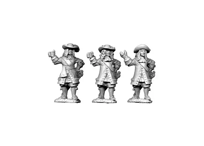 Officers/Standard-Bearers 3 