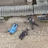Photo of Dead Man's Hand Lawmen Casualties  (DMH501)