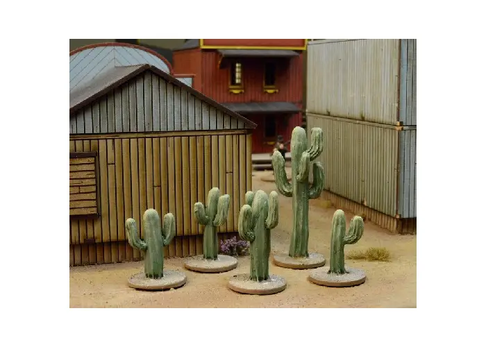 Cacti