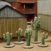Photo of Cacti (DMH704)