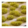 Photo of Gamer's Grass Moss (GG2-MO)